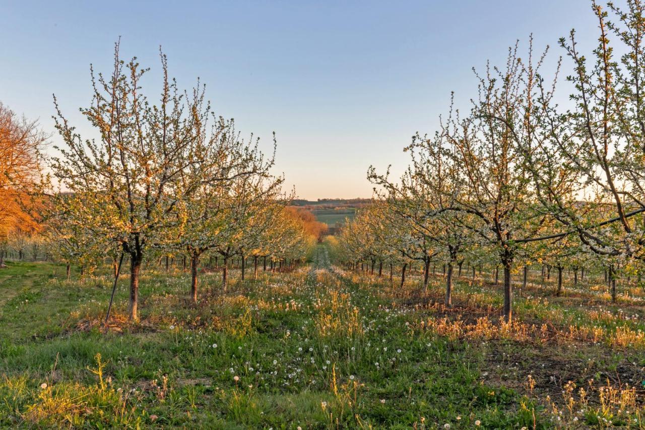 Bed and Breakfast Domaine de Rambeau Castelmoron-sur-Lot Exterior foto