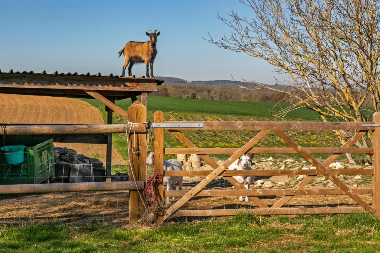 Bed and Breakfast Domaine de Rambeau Castelmoron-sur-Lot Exterior foto